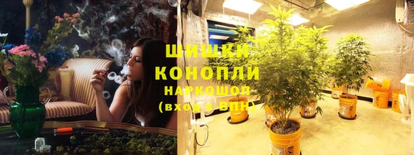 ешки Алзамай